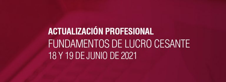 FUNDAMENTOS DE LUCRO CESANTE